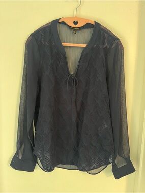 Banana Republic Sheer Navy Long-Sleeve Blouse with Tie Neck